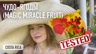 Тестирую новые фрукты, Magic fruit и zapote