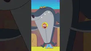 Dream Team #Shorts #Zigandsharko Zig & Sharko | Cartoon for kids