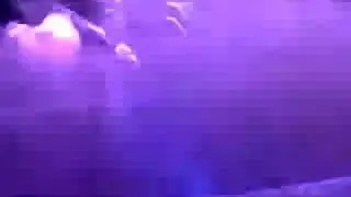 True Colors Tour 2008