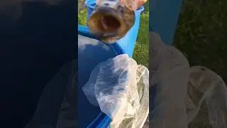 Семён