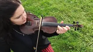 Karl Jenkins Palladio