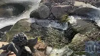 Winter Pond Before Closing