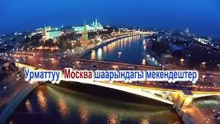 Жаңылык