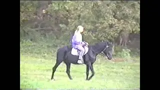 Новый Иерусалим - Кони/New Jerusalem - Horses