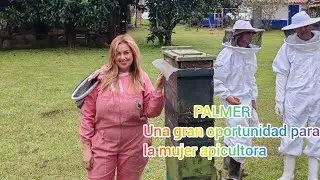 PALMER VERSION SAN ANDREW FROM THE BEGINNING (PART 1)