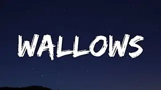 Tommy Docherty - WALLOWS (Lyrics) (From The Next 365 Days)