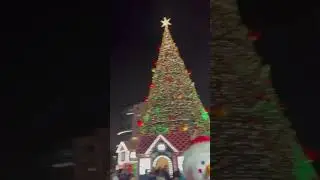 India’s Tallest 100ft Christmas Tree, Phoenix Mall of Asia Bangalore #shorts #shortvideo #christmas