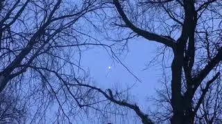 warrior cats | masktribe roleplay | song by scoutpaws