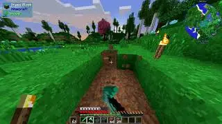 Modded Minecraft: All The Mods 3 | Episode #9 | Forestry Tree Farm