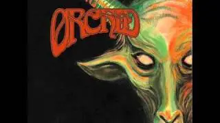 Orchid - Albatross