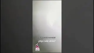 It Was Living In The Store… 