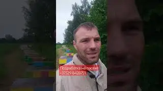 12 июня 2024 г.