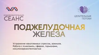 Оздоровительный СЕАНС - Поджелудочная Железа