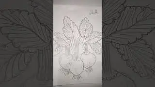 Risco para bordar ou pintar #artesanato #bordado #colorirdesenhos #desenhos #risco #art #drawing