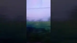 2 июня 2024 г.