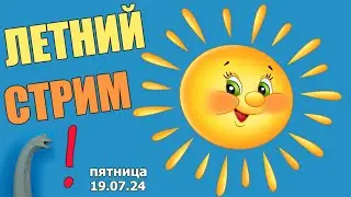 Летний Стрим в МКС «Восточный Фронт» 19.07.24