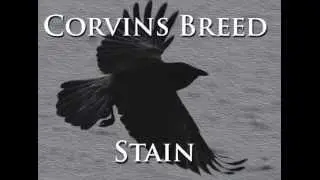 Corvins Breed - Stain