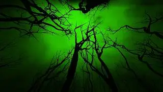 Green Creepy Trees Halloween 4K Motion Background Wallpaper Screen Saver
