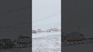 Полярный Урал / Кочевники Крайнего Севера