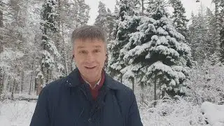 Одна снежинка