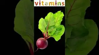 Почему необходимо есть СВЕКЛУ? Польза свеклы для здоровья!