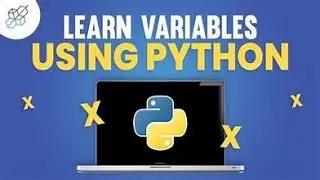 What Are Variables in Python? Explained for Beginners!