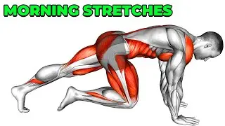 Full Body Quick Morning Stretching Routine for Flexibility and Mobility