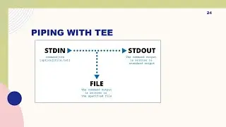 12 - Mastering pipe with tee and xargs Commands