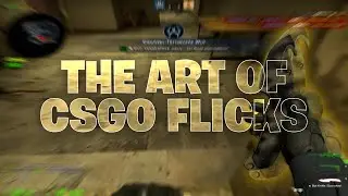 THE ART OF CSGO FLICKS..