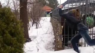 Не лезь она тебя сожрет оригинал