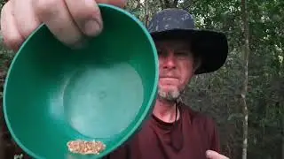 How to find gold, mineral that may indicate that there is gold in the region