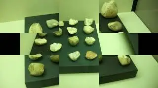 Плиоцен и каменный век  в Римини