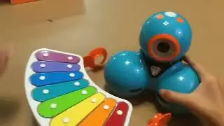 Wonder Workshop Dash – Coding Robot for Kids 6+ – Voice Activated – Navigates Objects