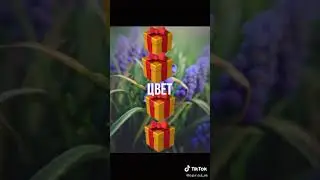 Создай свои носочки