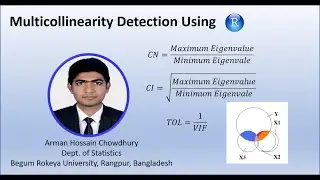 Multicollinearity Detection and its Interpretation in R