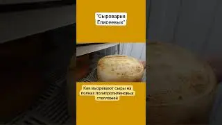 Как вызревают сыры на полках полипропиленовых стеллажей / Сыроварня Елисеевых / #сыр #стеллажи