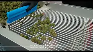 MS Sorter 500 | Sorting cannabis flowers up to 5 different sizes. See how it works!