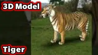 ARloopa - Tiger - 3D Model