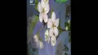 انوش -تو منو دعوت كن.
