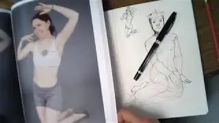 How To Use Reference For A Drawing