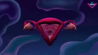 Libresse : Wonders of the Womb Interactive Experience