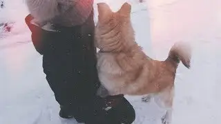 Мой первый КЛИП|Тут ЛИЦООО) Описание чекни