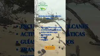 Descubre la Isla Santa Cruz y sus rincones más fascinantes. #galápagos #islasgalapagos #galapagos