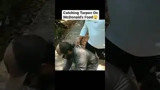 MCDONALD'S FOOD Catches FISH!!!
