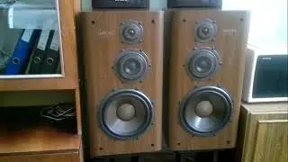 Акустика DIATONE DS- 700z