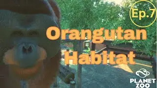 Orangutan Habitat | Planet zoo | Ep.7