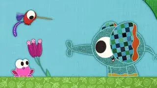 Der Kolibri auf meiner Schmusedecke