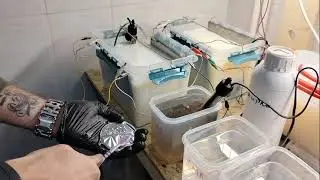 Покрытие катафарезным лаком по технологии post dye