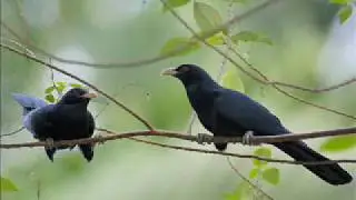 Tera Naam Se