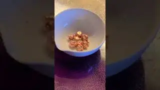Oxidation of Copper Shots